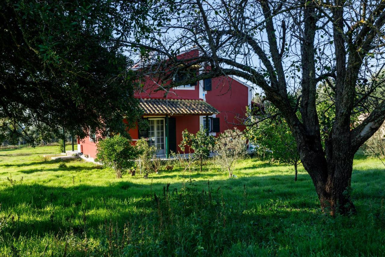 Fridas Place Halikounas 외부 사진